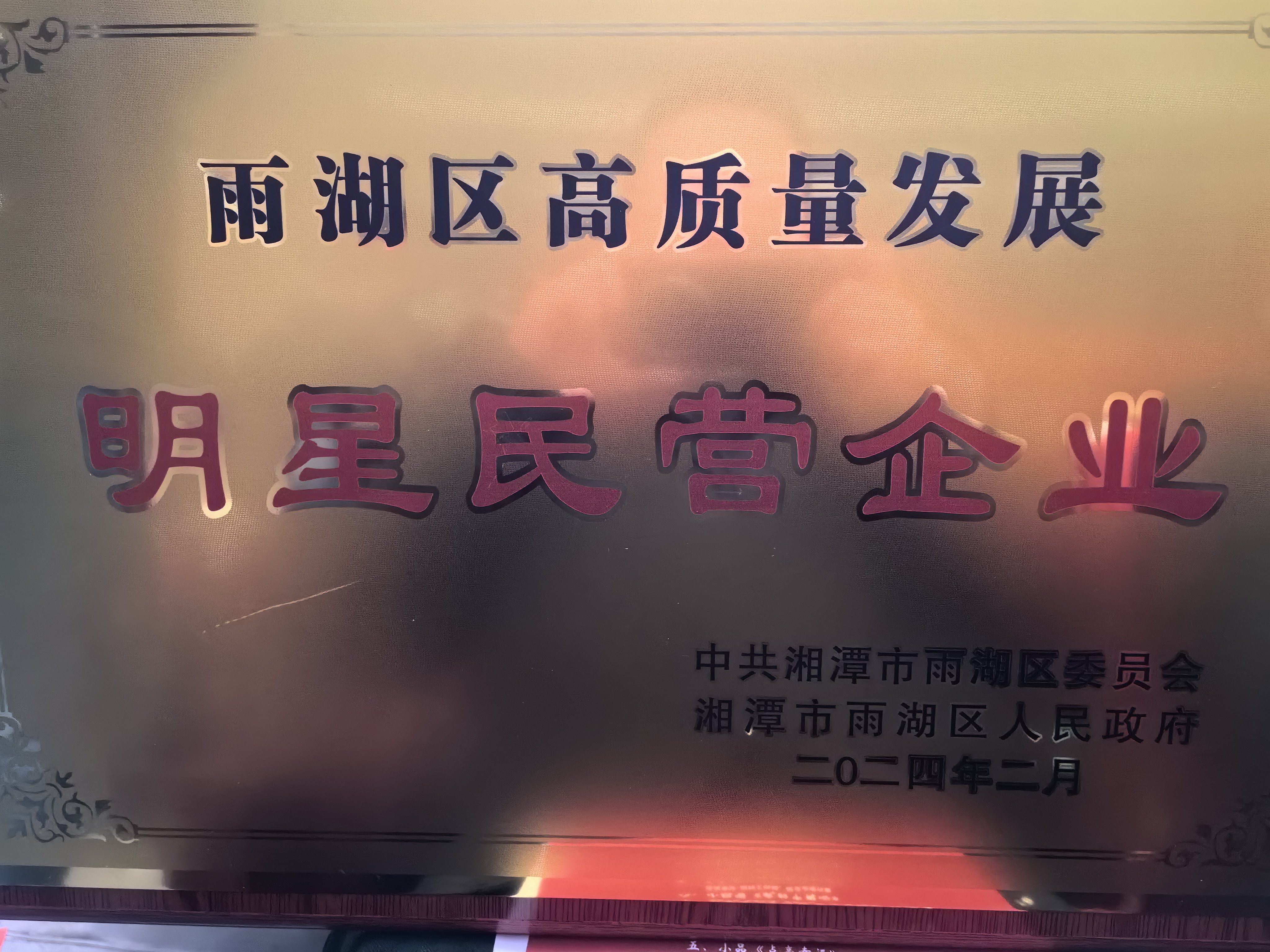 HTH.COM荣获“雨湖区高质量发展明星民营企业”称号